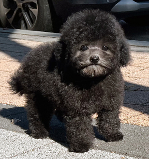 이미지